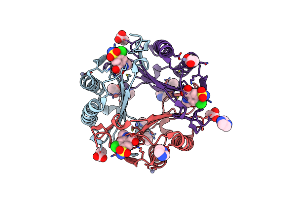 3RF4 image