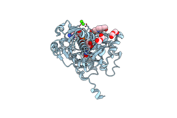 3RF7 image