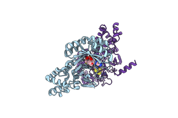 3RFA image