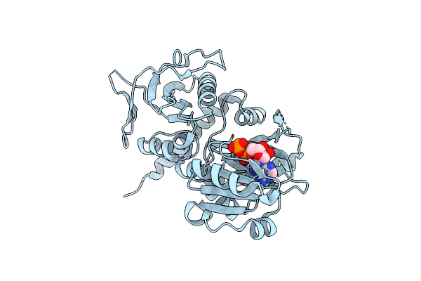 3RFC image