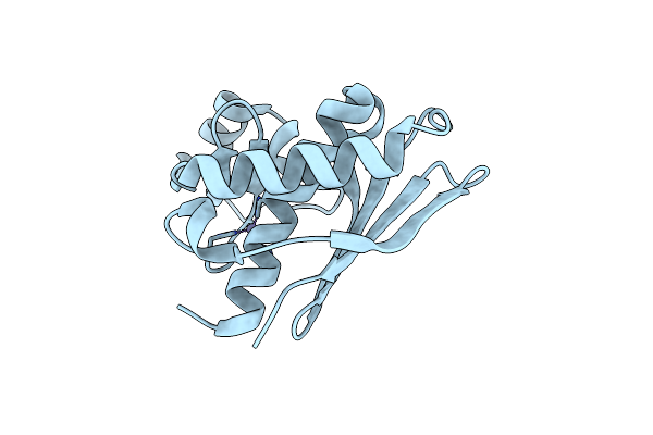 3RFN image