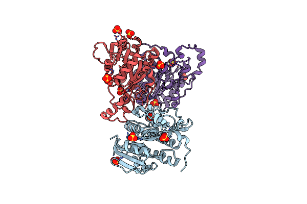 3RFT image