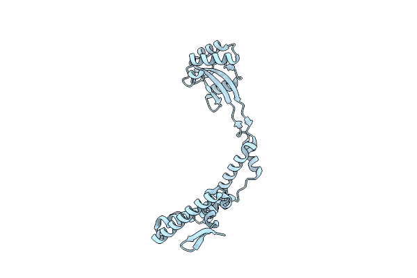 3RFW image