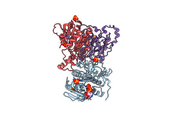 3RFX image