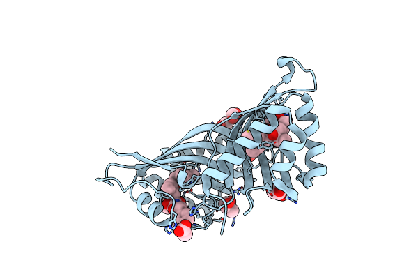 3RGA image