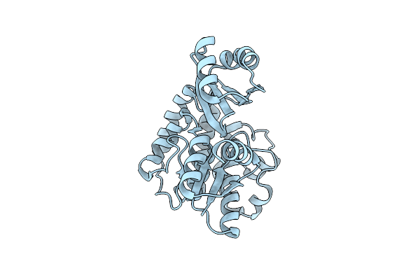 3RGI image