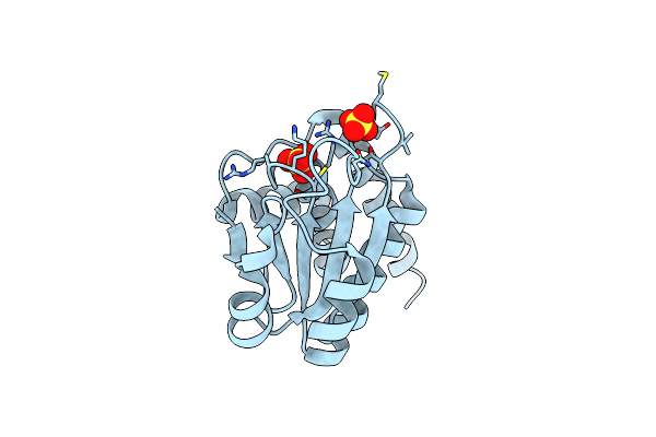 3RGO image