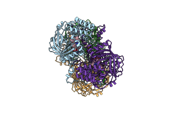 3RGS image