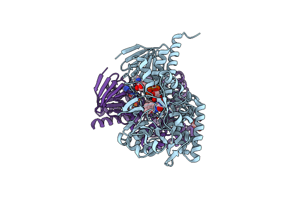 3RHA image