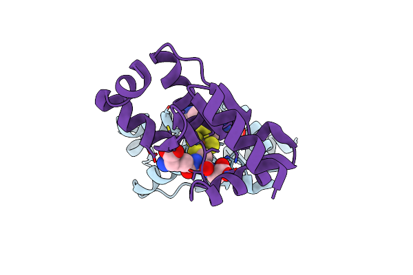 3RHC image