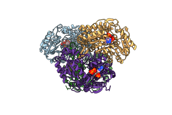 3RHD image