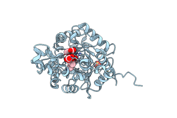 3RHG image