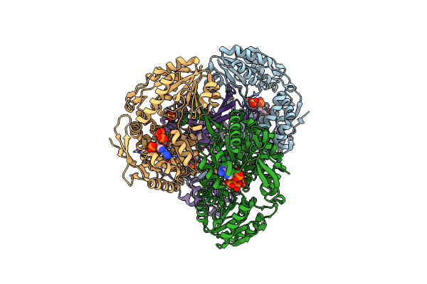 3RHH image