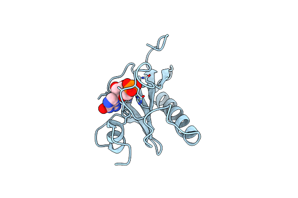 3RHN image