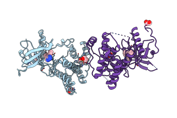3RHX image