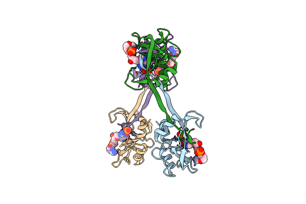 3RID image