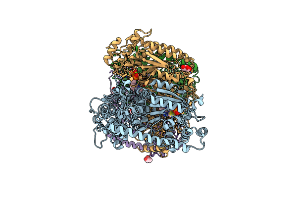 3RIM image