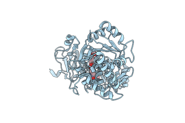 3RIX image