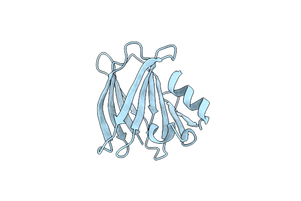 3RJ2 image