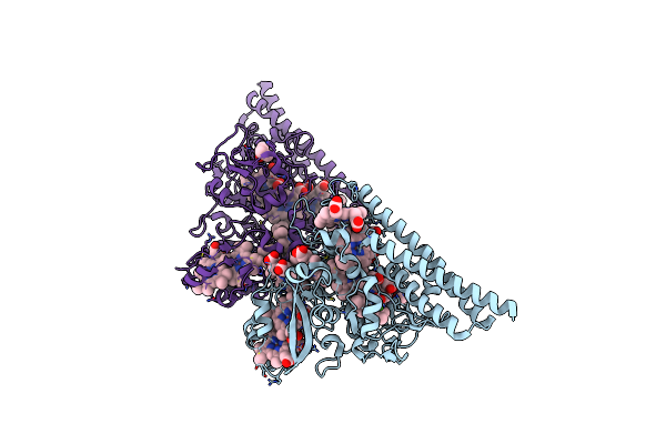 3RKH image