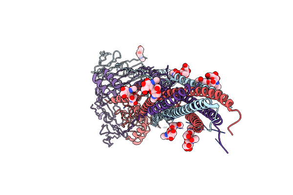 3RKI image
