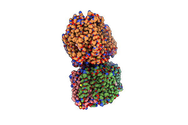 3RKO image
