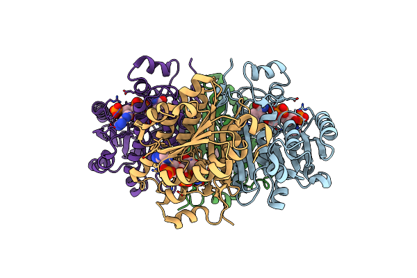3RKU image