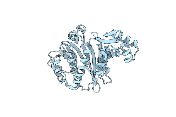 3RKX image