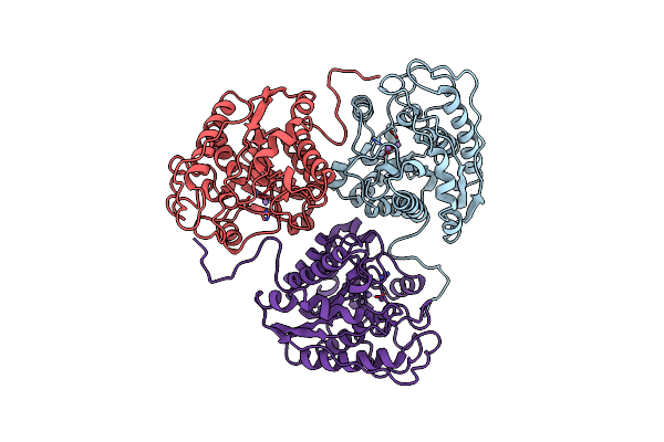 3RLA image