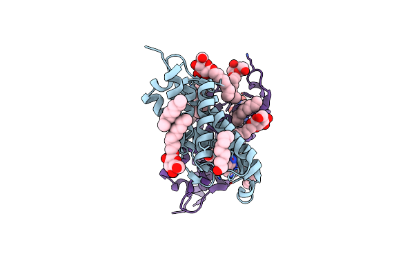 3RLB image