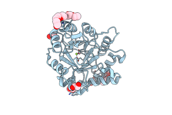 3RLG image
