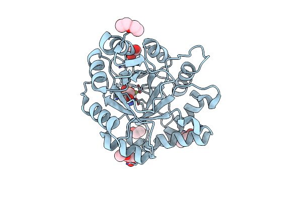 3RLH image