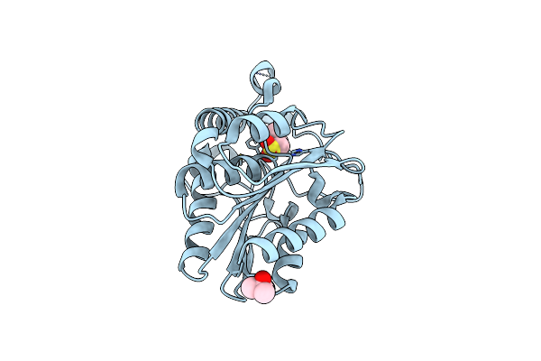 3RLI image