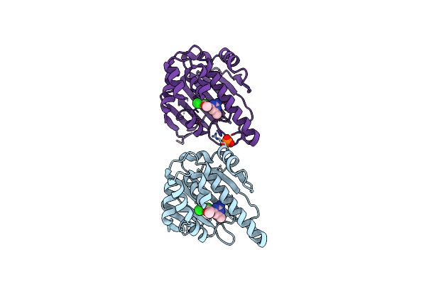 3RLP image