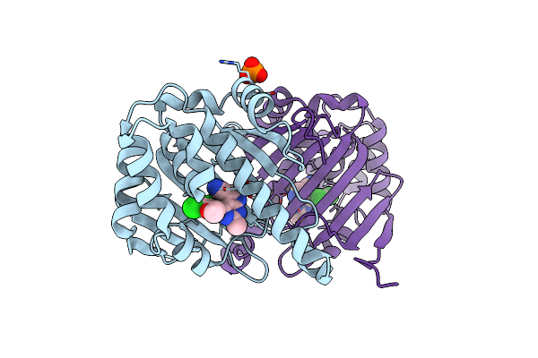3RLQ image