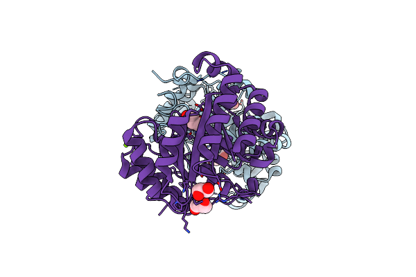 3RMJ image