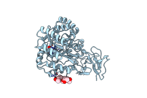 3RN6 image