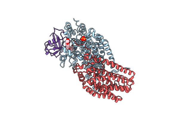 3RN9 image