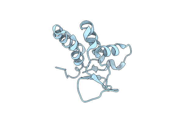 3RNV image