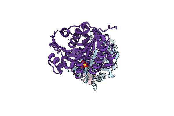 3RO4 image