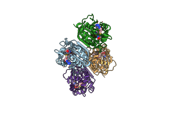 3ROD image