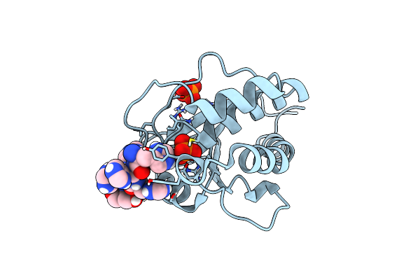 3ROF image