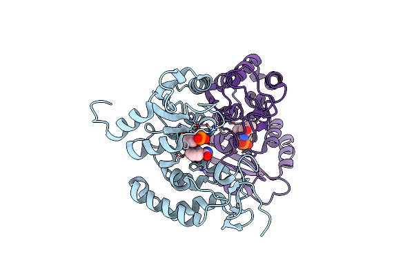3ROP image