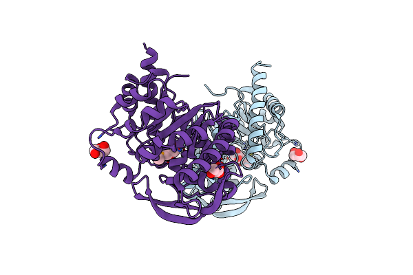 3RPD image