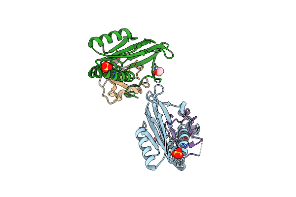 3RPF image