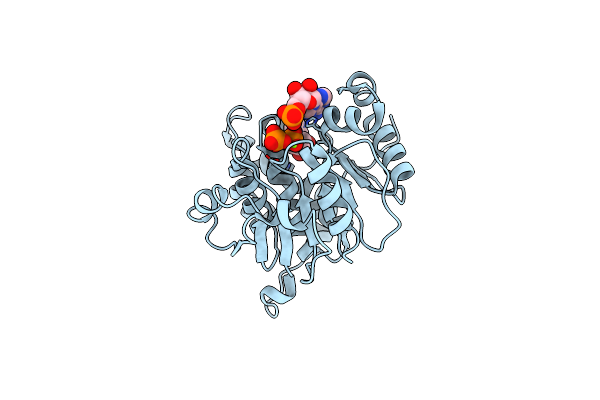 3RPH image