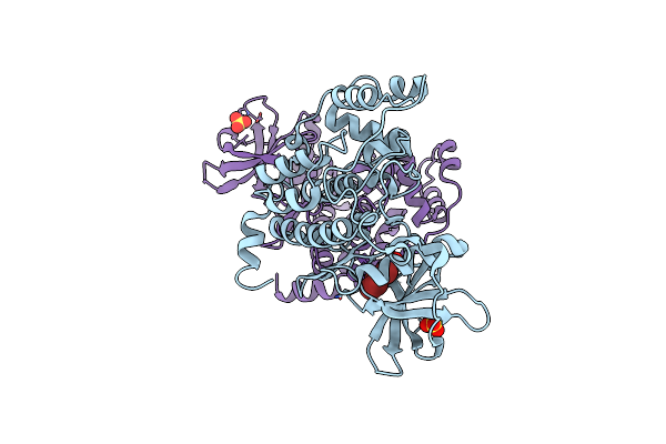 3RPS image