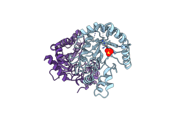 3RPT image