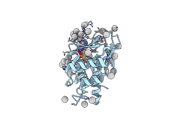 3RQ4 image