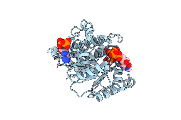 3RQ8 image